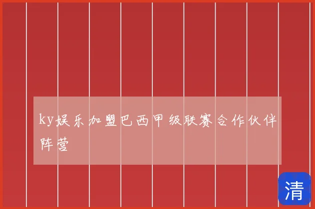 ky娱乐加盟巴西甲级联赛合作伙伴阵营